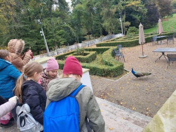 566512815_1528241058178148_414284698367152578_n