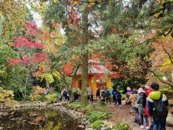 566346595_746233561513246_2490910448025456956_n