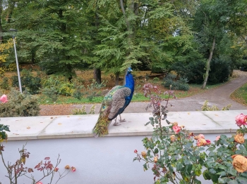 566421435_1999251640622895_6823722231529689440_n