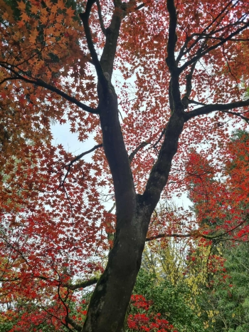 566573613_834601989261173_2601830919167874761_n