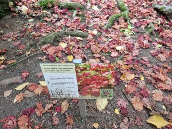 566582173_2421531588241220_187541254404516221_n