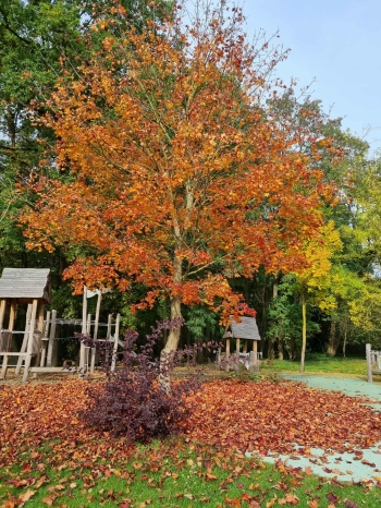 566527375_1356442936277001_8364030555895059326_n