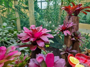 566530381_829813182997792_1282569551742170332_n