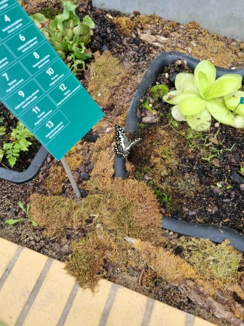 566547358_647300591647211_2566495067828012514_n