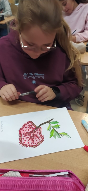 WhatsApp Image 2025-10-28 at 19.09.58.jpeg