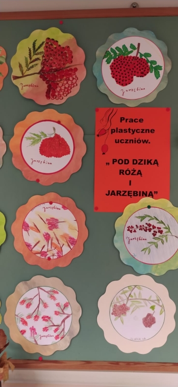 WhatsApp Image 2025-10-28 at 19.09.25.jpeg