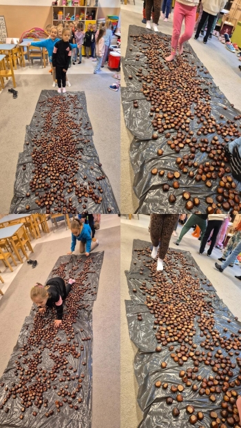 WhatsApp Image 2025-10-16 at 13.23.12.jpeg