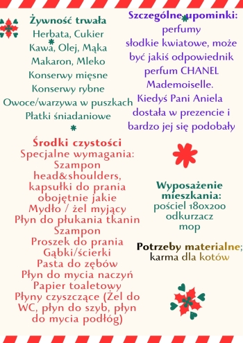 Green and White Modern Special Christmas Day Sale Poster