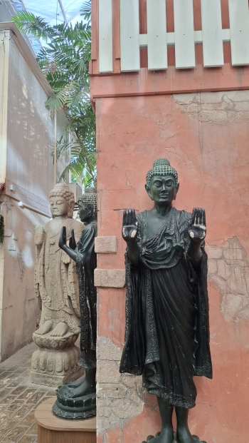 WhatsApp Image 2025-12-09 at 07.05.44(2).jpeg