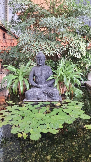 WhatsApp Image 2025-12-09 at 07.05.44(1).jpeg