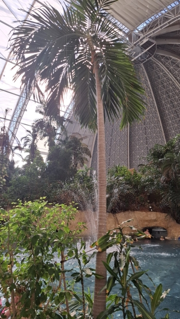 WhatsApp Image 2025-12-09 at 07.05.44.jpeg