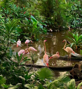 WhatsApp Image 2025-12-09 at 07.05.42(2).jpeg