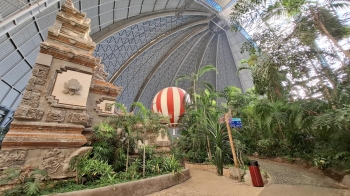 WhatsApp Image 2025-12-09 at 07.05.39.jpeg