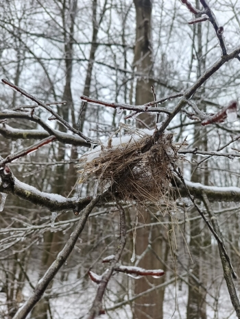 WhatsApp Image 2026-02-02 at 11.26.10 (1).jpeg