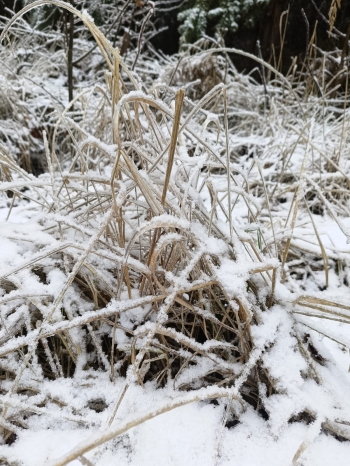 WhatsApp Image 2026-02-02 at 11.26.10.jpeg