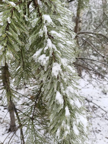 WhatsApp Image 2026-02-02 at 11.26.09 (1).jpeg