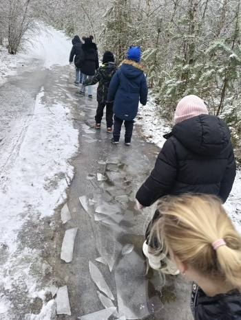 WhatsApp Image 2026-02-02 at 11.26.08 (2).jpeg