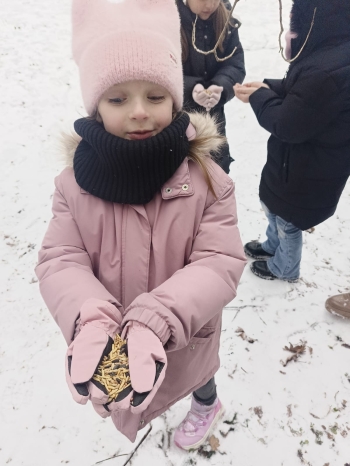 WhatsApp Image 2026-02-02 at 11.26.07.jpeg