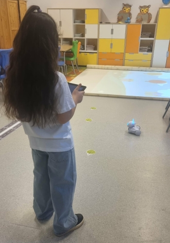 642410355_899220339402920_6727373226411970289_n