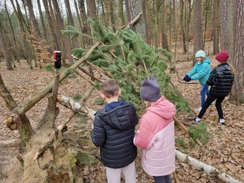 652260823_1272132401537369_7415166856703736609_n