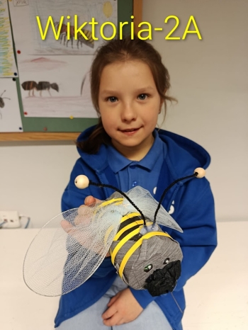 5ce8b51c-32f9-4e06-a839-edde4afd4fa3