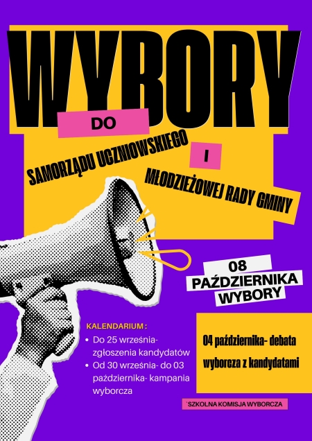 Wybory samorządowe