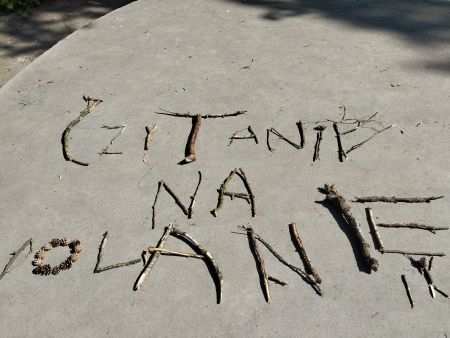  ''Czytanie na polanie''