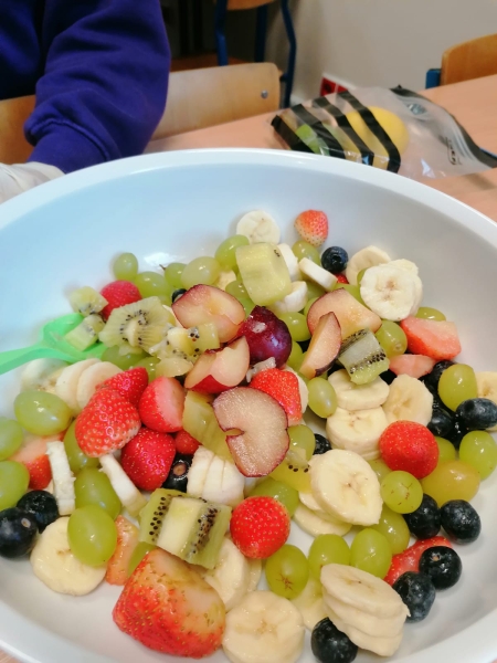 Trawienie i wchłanianie pokarmu- lekcja przyrody