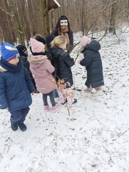 Dzień dokarmiania zwierząt.