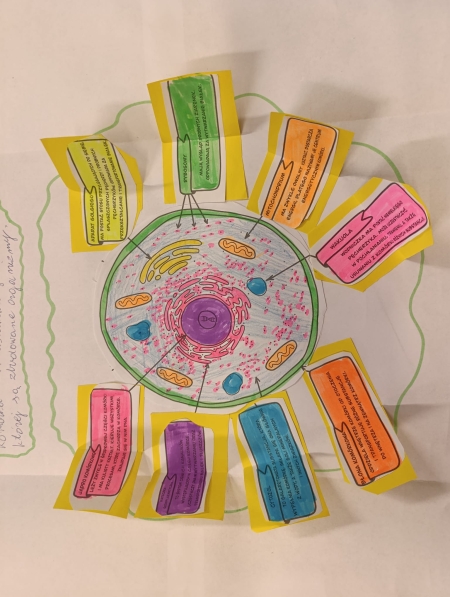 Projekt edukacyjny- ''Uczę się uczyć''.